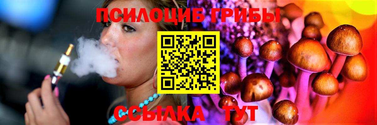 Псилоцибиновые грибы Cubensis  что такое   Карасук  Псилоцибиновые грибы Psilocybine cubensis  Вход с VPN 